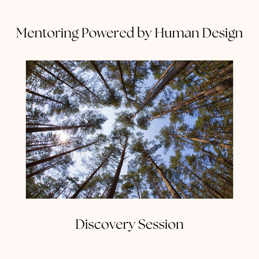 Human Design - Mentoring Sessions